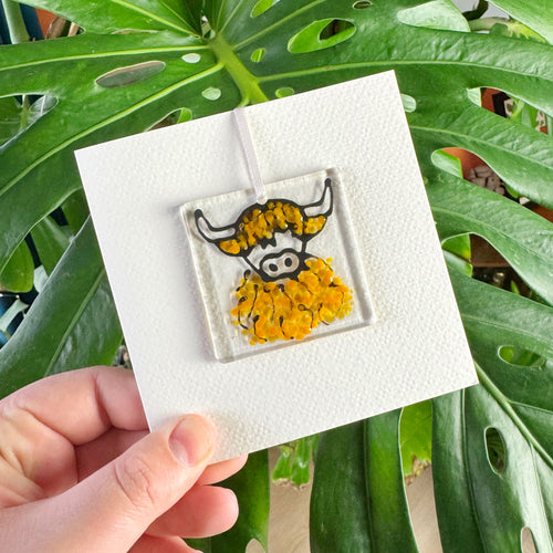 Highland Coo Card
