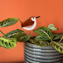 Load image into Gallery viewer, Wren Plant Pot Pal