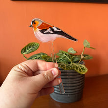 Load image into Gallery viewer, Chaffinch Plant Pot Pal