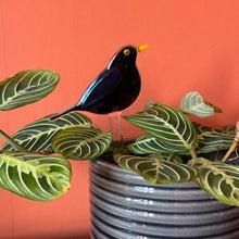 Load image into Gallery viewer, Blackbird Plant Pot Pal