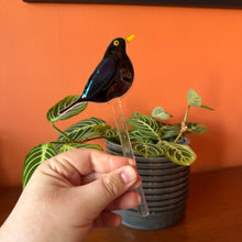 Load image into Gallery viewer, Blackbird Plant Pot Pal