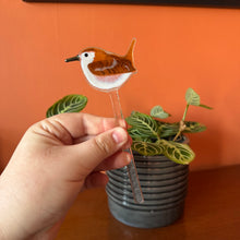 Load image into Gallery viewer, Wren Plant Pot Pal