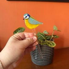 Load image into Gallery viewer, Blue Tit Plant Pot Pal