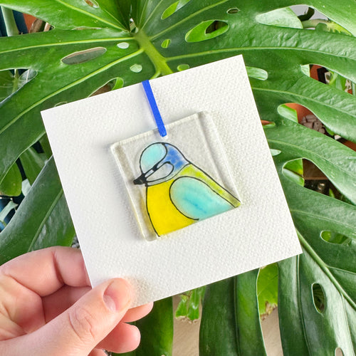 Blue Tit Portrait Card