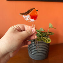 Load image into Gallery viewer, Robin Plant Pot Pal