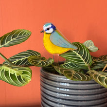 Load image into Gallery viewer, Blue Tit Plant Pot Pal
