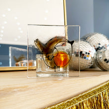 Load image into Gallery viewer, Round Robin Candle Holder