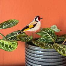 Load image into Gallery viewer, Goldfinch Plant Pot Pal