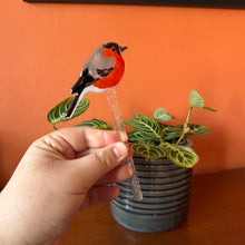Load image into Gallery viewer, Bullfinch Plant Pot Pal