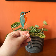 Load image into Gallery viewer, Kingfisher Plant Pot Pal