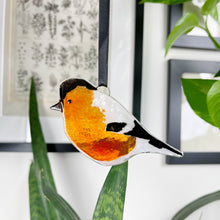 Load image into Gallery viewer, Bullfinch Decoration